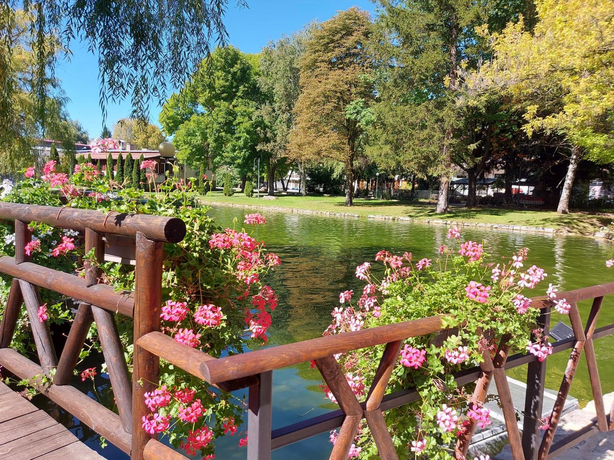 Terra Complex -D6 - Balkan Private Apartment-Spa Sking Golf And Relax บันสโก ภายนอก รูปภาพ